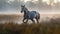 Majestic Wild Horses Galloping Through Misty Meadow at Golden Hour