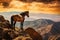 Majestic wild mustang horse atop a mountain range