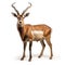 Majestic Wildebeest Stands Tall on White Background, Ai Generated