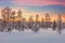 Majestic winter landscape - sundown, forest, trees and snow