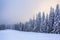 Majestic winter scenery. Mystery forest. On the lawn covered with snow there is a trodden path leading to the trees.