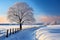 Majestic winter trees stand in a breathtaking, snow covered landscape view