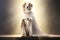 Majestic wise dog sage dressed in white long toga against shining backdrop. Light create halo around dog, making it look