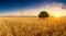 majestic yellow wheat field with a tree in the background in a sunset