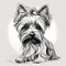 Majestic Yorkshire Terrier Drawing In Black And White