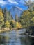 Majestic Yosemite Valley surrounded by lush woodlands and towering mountain peaks