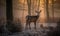 Majestic young deer roaming in misty winter forest at sunrise. Creating using generative AI tools