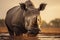 The Majesty of Rhinos in Pixels