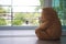 Major depressive disorder mdd concept. Grief of children. Teddy bear sitting looking at the house window alone. Looks like someone