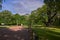 Major oak, sherwood forest