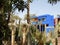 Majorelle Garden and house, Marrakech, Morocco