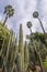 The Majorelle Garden in Marrakech, Morocco