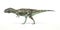 Majungasaurus dinosaur, photorealistic representation. Side view