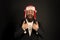 Make Christmas magic again. Happy santa boss give thumbs up. Businessman celebrate Christmas. Bearded man enjoy