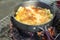 Make an omelette on the pan in hot oil, place on the stove, prepare breakfast for hiking or camping using as travel concept.