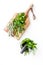 Make seasoning and condiments. Herbs in mortar on white background top-down