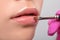 Make-up artist does lips make-up. She applies pink lip gloss. Professional makeup and cosmetology skin care. Lips close up