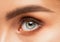 The make-up artist does Long-lasting styling of the eyebrows  and will color the eyebrows. Eyebrow lamination. Professional make-