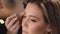 Make-up artist gently applies a black wet eyeliner to the eyelids, with a professional brush on the face of a beautiful