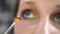The make-up artist paints eyelashes of the lower eyelid with a professional tassel. Girl model with blue eyeliner on the