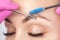 Make-up artist plucks eyebrows with tweezers to a woman before staining with henna.Makeup concept, eyebrow shape modeling and