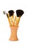 Make Up Brush Set