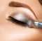 Make-up. Eye shadow brush