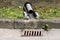 Makeshift plastic pipe and metal gutter surrounded with concrete and grass leading water from stone wall to storm drain gutter