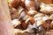 A makeshift stall of snails at a street market in Accra, Ghana