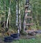 Makeshift wooden staircase is leaning against a tree in the forest