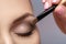 Makeup artist apply makeup brush for eyes. makeup for young girl. brown eye shadow. close up