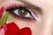 Makeup brown green eyes with red and green eyeshadow