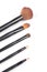 Makeup brush and earth tone eyeshadow