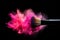 Makeup brush with pink explosion powder on black background