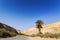Makhtesh Ramon crater mountains view with road and palms - geological site in Negev desert