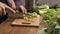 Making green juice at home: male hands cut celery with a knife on a board table in the kitchen. Unrecognizable fitness