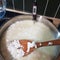 Making halumi cheese and ricotta with your own hands. Step-by-step photos of the process. Forming the cheese grain by