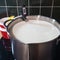 Making halumi cheese and ricotta with your own hands. Step-by-step photos of the process. Preparation and pasteurization