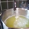 Making halumi cheese and ricotta with your own hands. Step-by-step photos of the process. Reheating whey and welding the