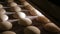 Making a loaf of bread in the bakery