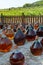 Making of natural sweet dessert muscat liqueur white wine outside in big round glass antique demijohn bottles in