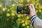 Making snapshots of flowers with mobile smart phone