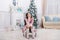 Making wish. Waiting for Santa claus. Adorable girl making wish near christmas tree decorated interior. Hopeful child