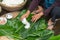 Making wrapping Chung Cake, the Vietnamese lunar new year Tet food outdoor with old woman hands and ingredients. Closed-up.