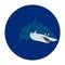 Mako shark. Swimming shark in a blue circle. Animal illustration Logotype for diving business or underwater aquarium center.