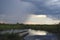 Makoro - Okavango Delta - Botswana