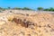 Makronissos tombs near Ayia Napa on Cyprus