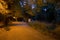 Maksimir park at night