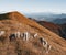 Mala fatra. Mountains landscape. Autumn landscape. Panorama mountains. Karpaty. Slovakia mountains