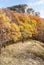 Mala Vapenna hill in autumn Male Karpaty mountains in Slovakia